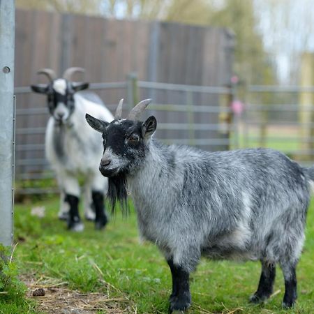 Luccombe Farm Holiday Cottages Milton Abbas Eksteriør bilde