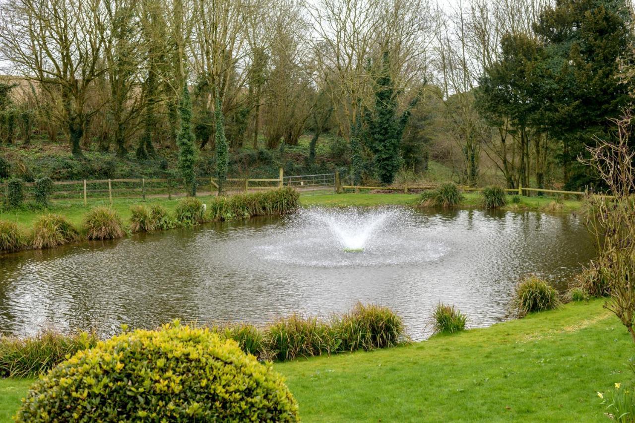 Luccombe Farm Holiday Cottages Milton Abbas Eksteriør bilde