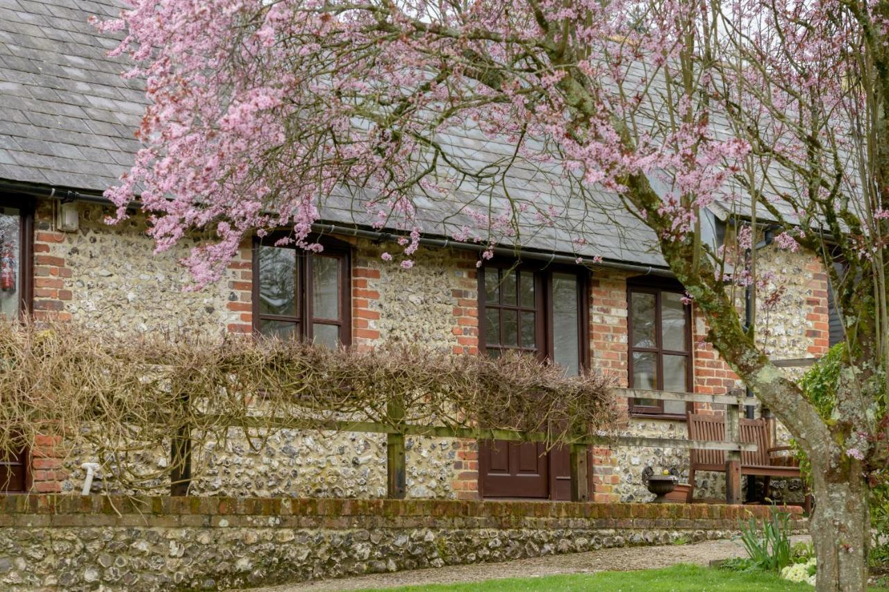 Luccombe Farm Holiday Cottages Milton Abbas Eksteriør bilde