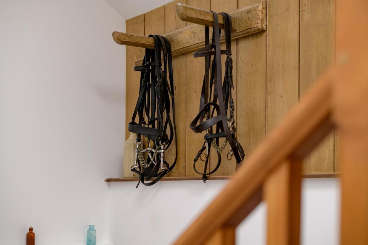 Luccombe Farm Holiday Cottages Milton Abbas Eksteriør bilde