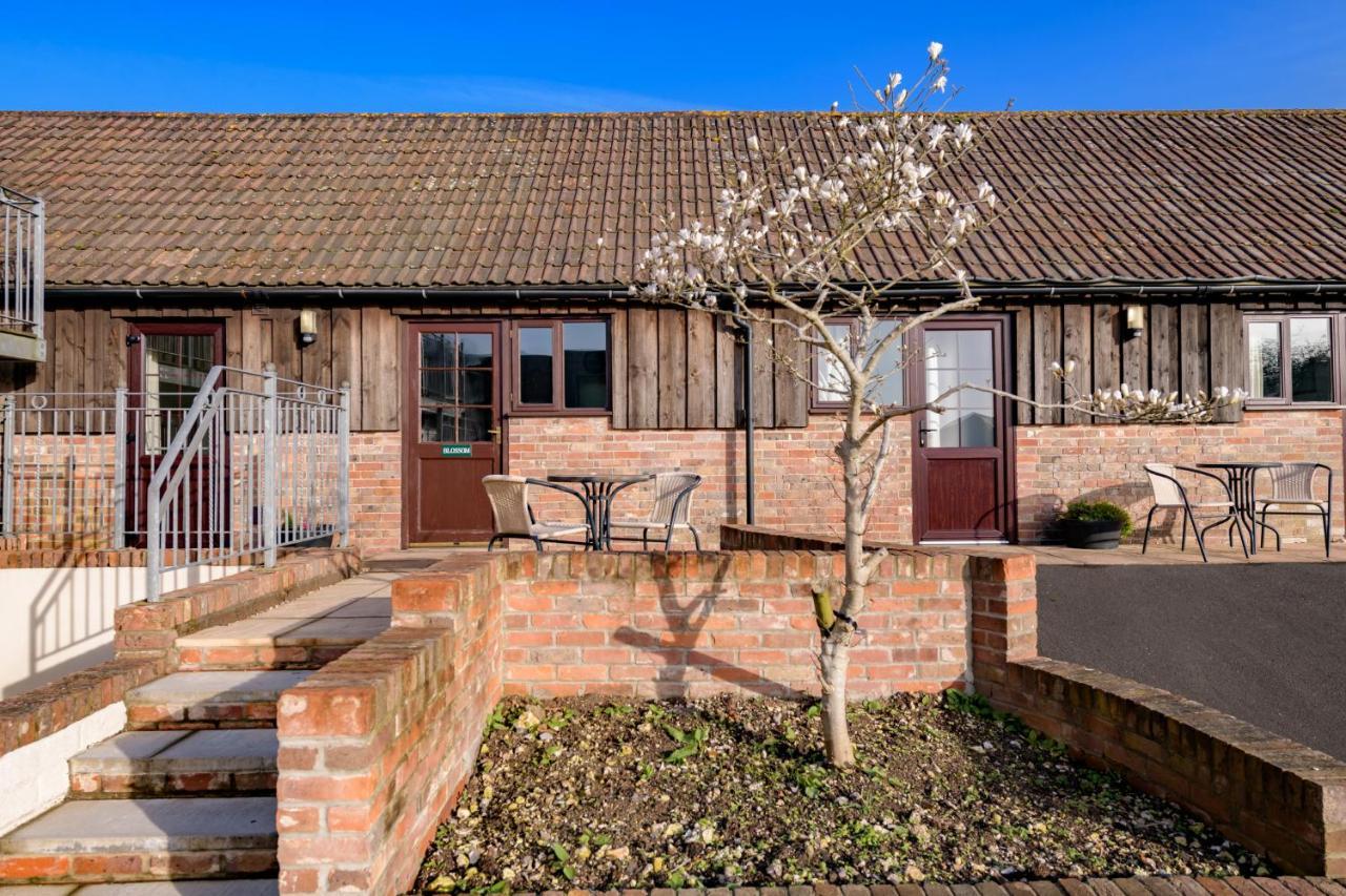 Luccombe Farm Holiday Cottages Milton Abbas Eksteriør bilde