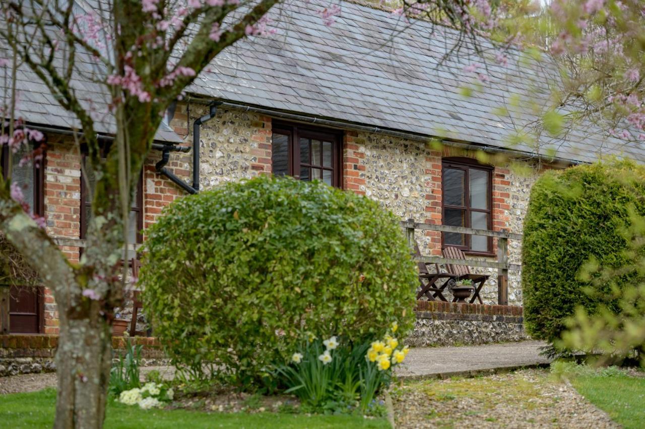 Luccombe Farm Holiday Cottages Milton Abbas Eksteriør bilde