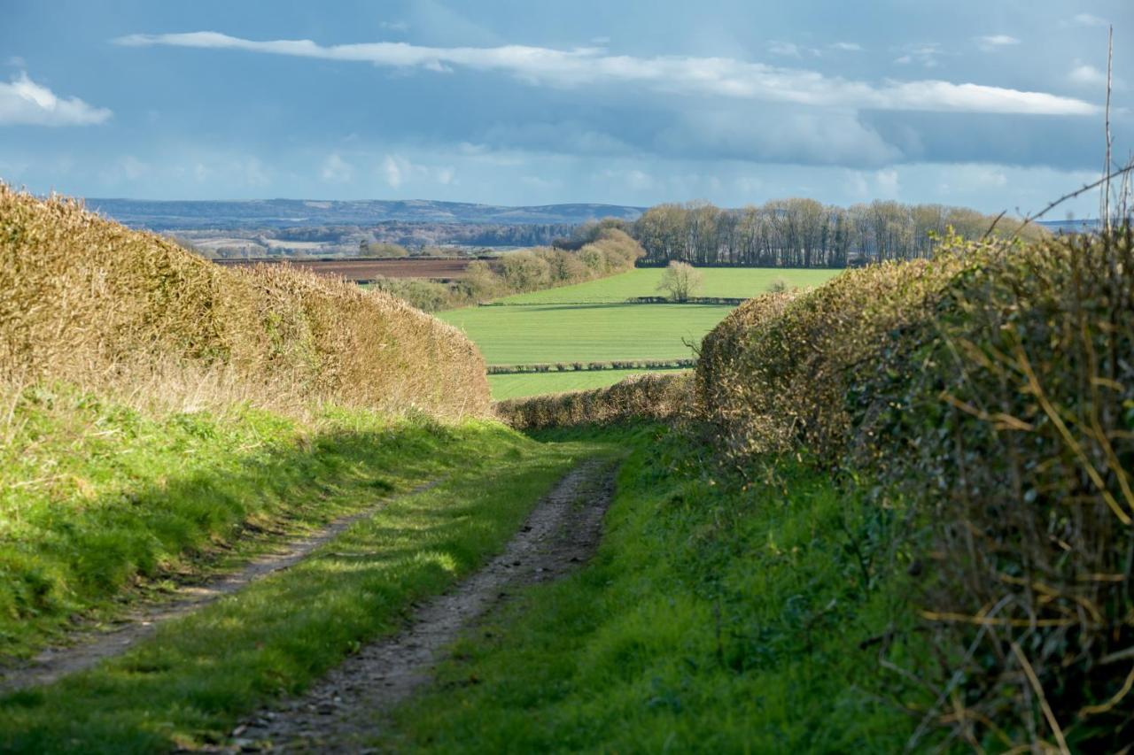Luccombe Farm Holiday Cottages Milton Abbas Eksteriør bilde