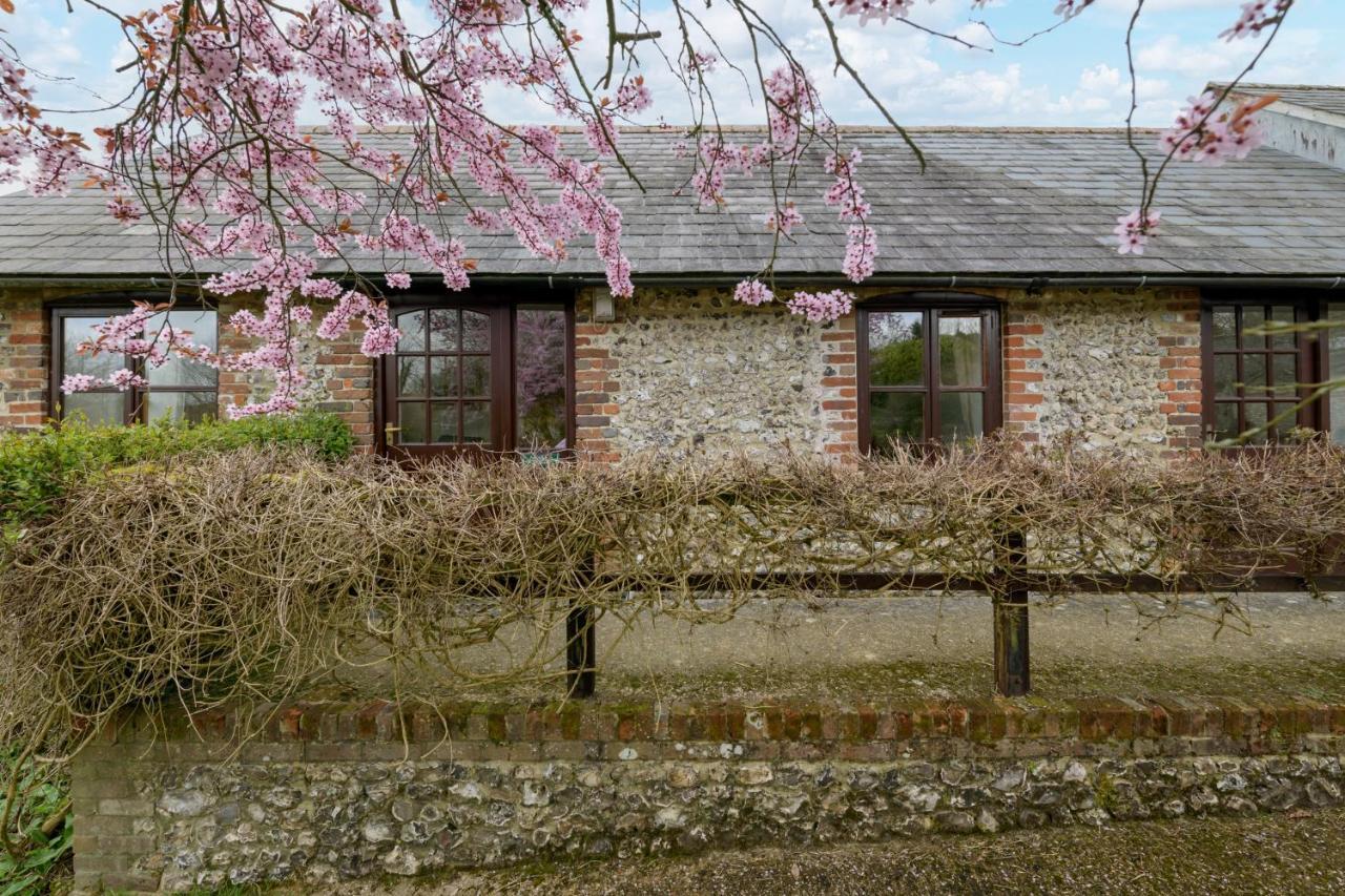 Luccombe Farm Holiday Cottages Milton Abbas Eksteriør bilde