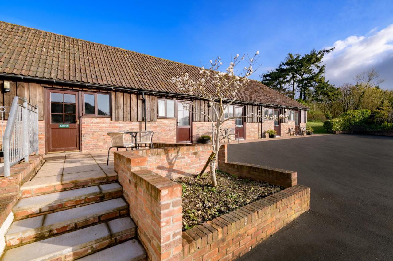 Luccombe Farm Holiday Cottages Milton Abbas Eksteriør bilde